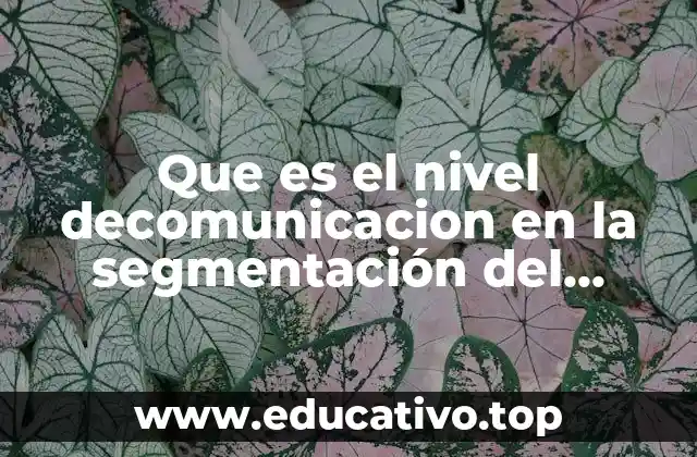 Que es el nivel decomunicacion en la segmentación del mercado
