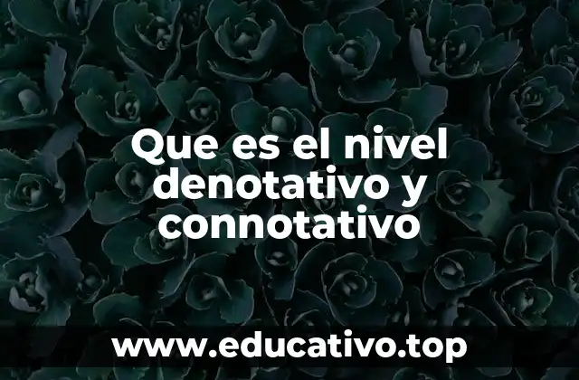 Que es el nivel denotativo y connotativo