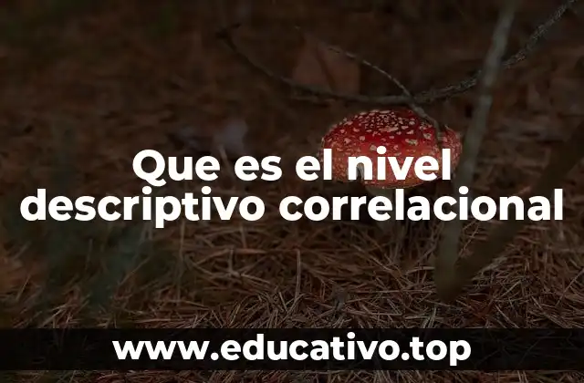 Que es el nivel descriptivo correlacional