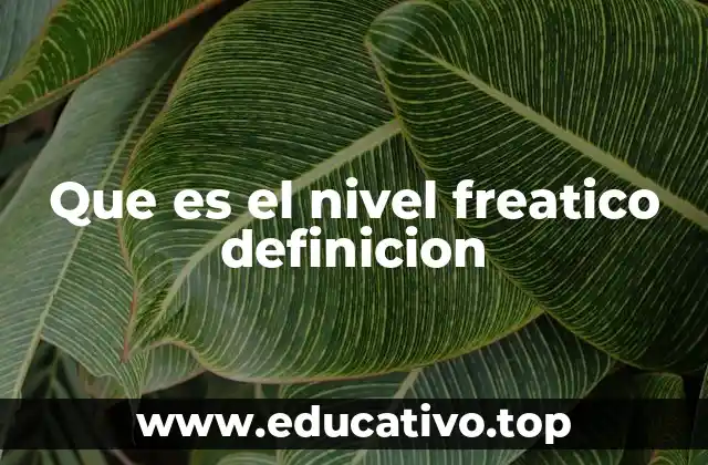 Que es el nivel freatico definicion