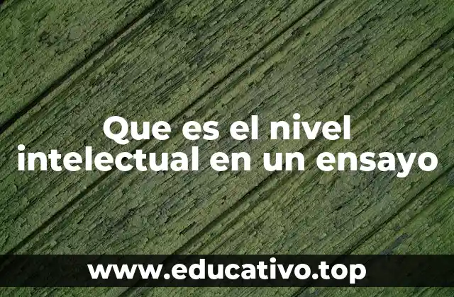 Que es el nivel intelectual en un ensayo