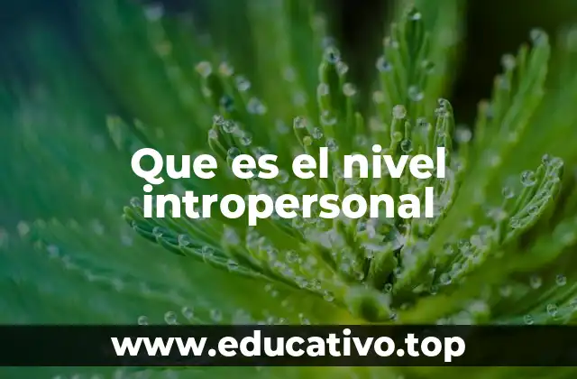 Que es el nivel intropersonal