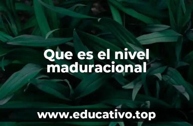 Que es el nivel maduracional