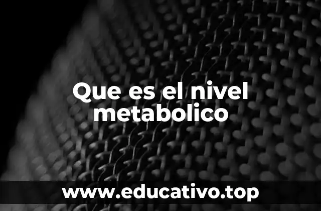 Que es el nivel metabolico