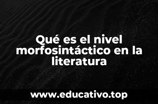 Qué es el nivel morfosintáctico en la literatura