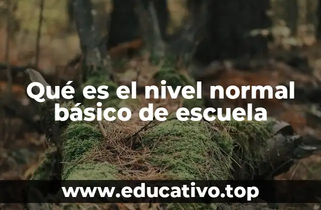 Qué es el nivel normal básico de escuela
