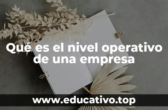 Qué es el nivel operativo de una empresa
