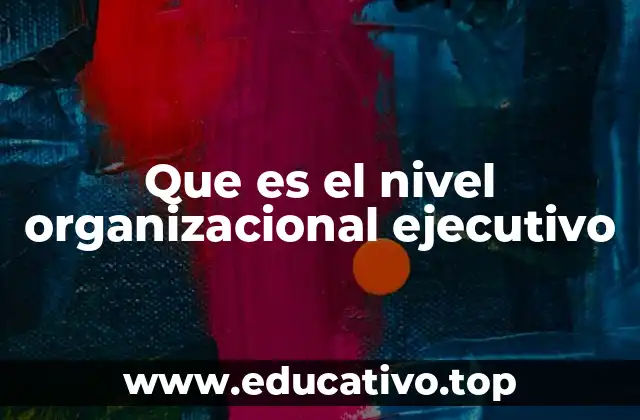 Que es el nivel organizacional ejecutivo