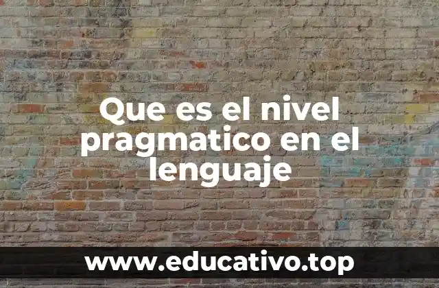 Que es el nivel pragmatico en el lenguaje