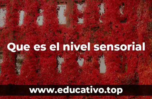 Que es el nivel sensorial