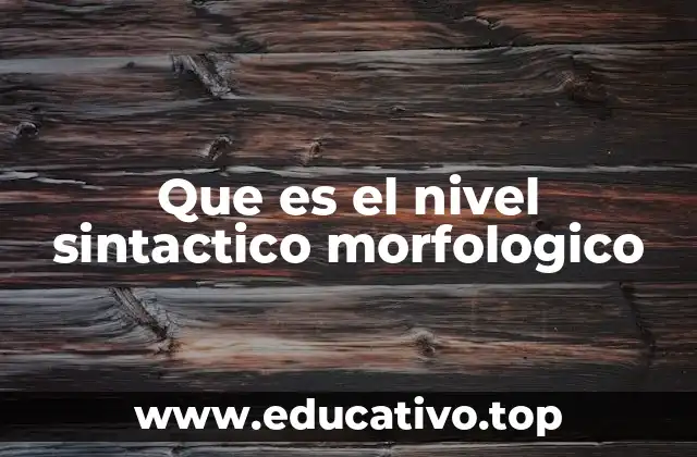 Que es el nivel sintactico morfologico