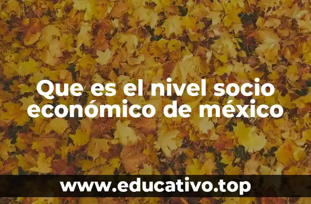 Que es el nivel socio económico de méxico