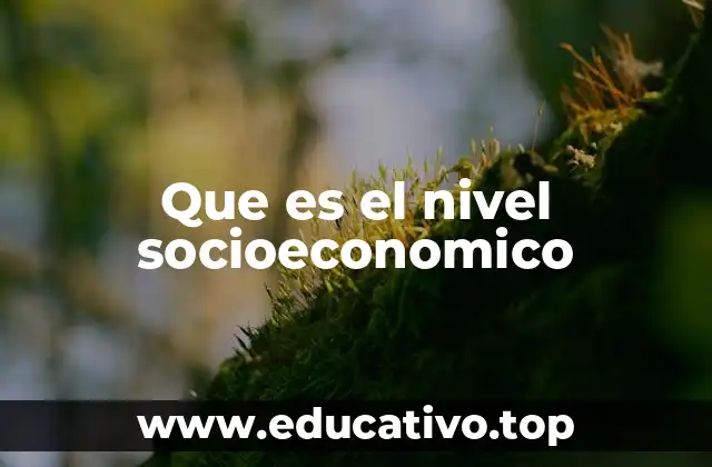 Que es el nivel socioeconomico