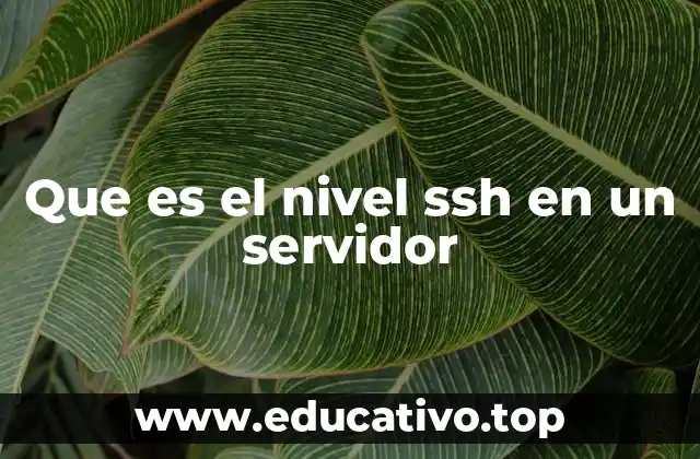 Que es el nivel ssh en un servidor