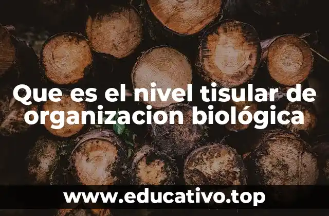 Que es el nivel tisular de organizacion biológica