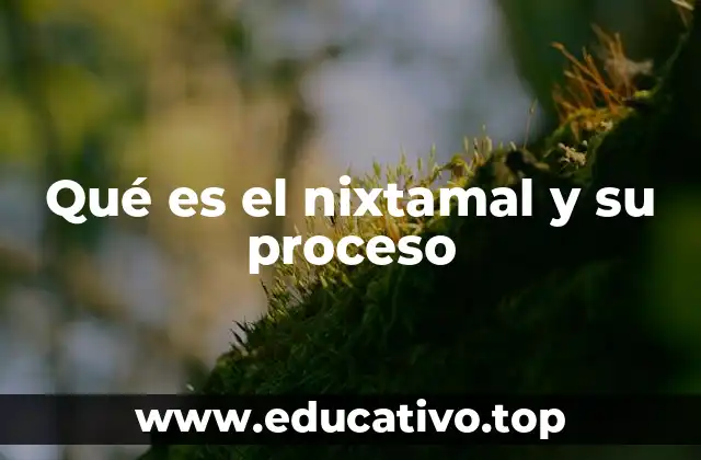 La relevancia del nixtamal en la cocina tradicional