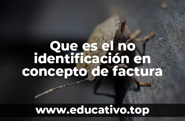 Que es el no identificación en concepto de factura