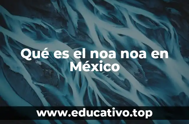 Qué es el noa noa en México