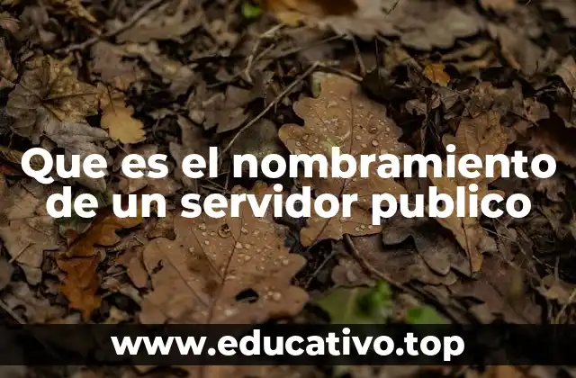 Que es el nombramiento de un servidor publico