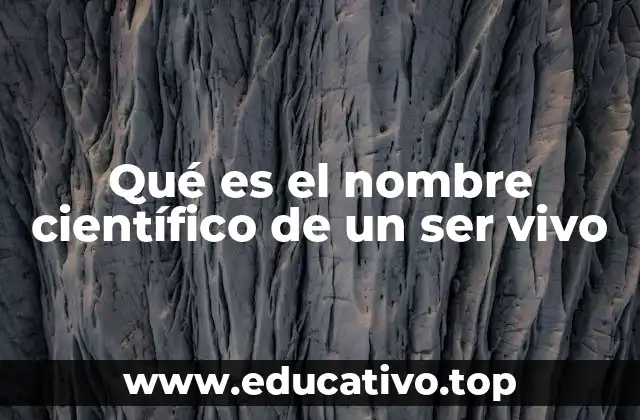 Qué es el nombre científico de un ser vivo