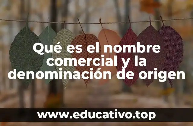 Qué es el nombre comercial y la denominación de origen