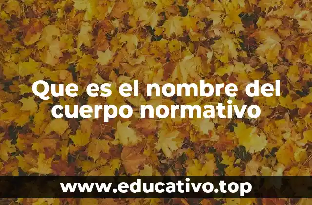 Que es el nombre del cuerpo normativo