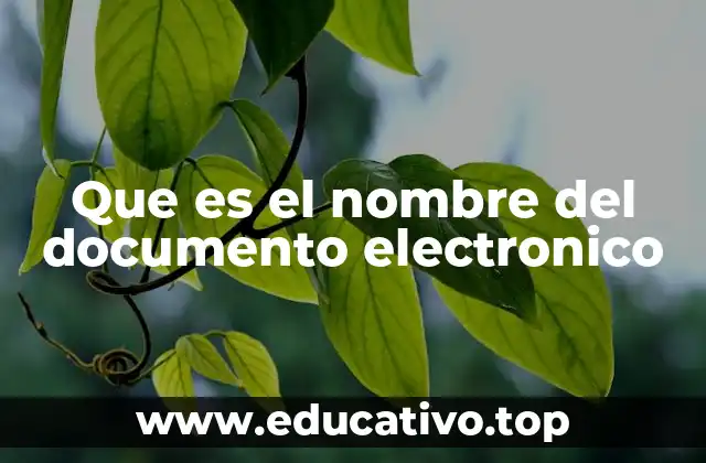 Que es el nombre del documento electronico