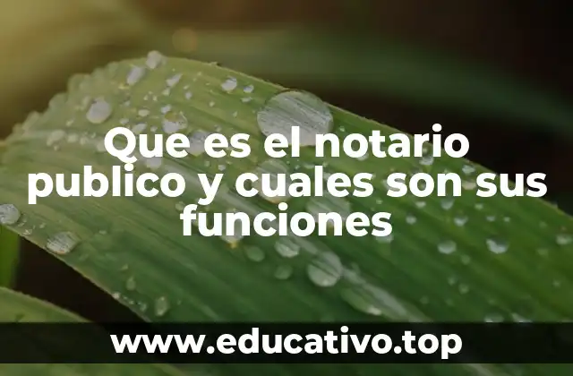 Que es el notario publico y cuales son sus funciones