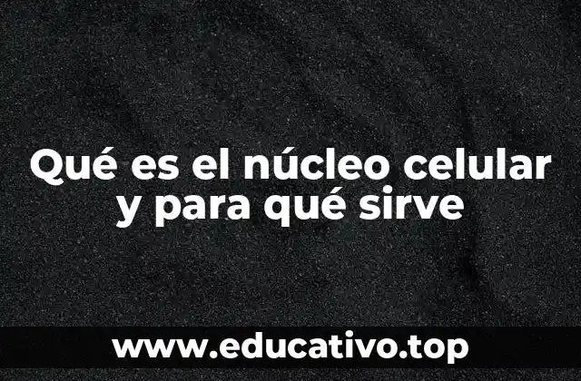Qué es el núcleo celular y para qué sirve