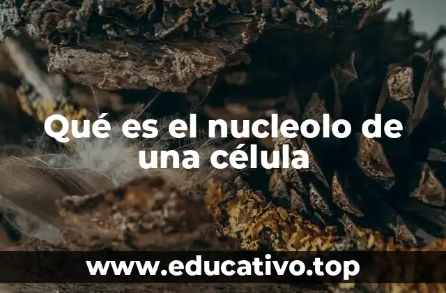 Qué es el nucleolo de una célula