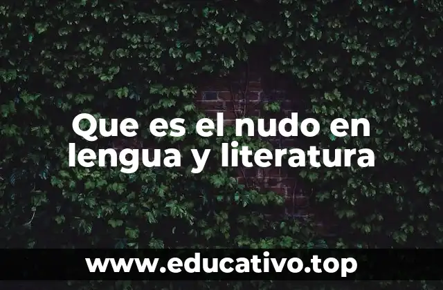 Que es el nudo en lengua y literatura