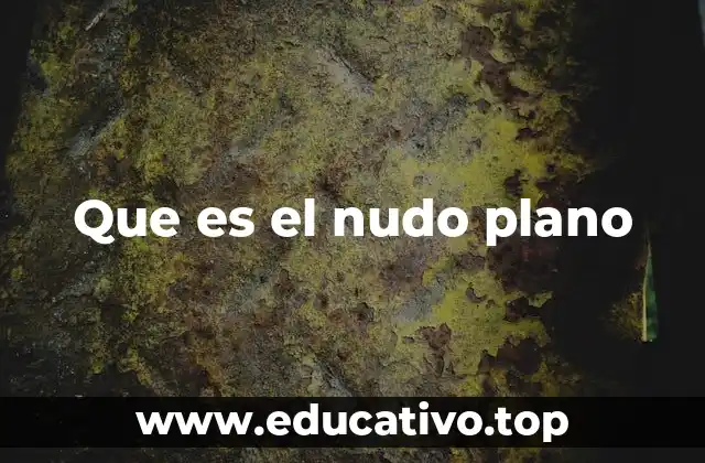 Que es el nudo plano