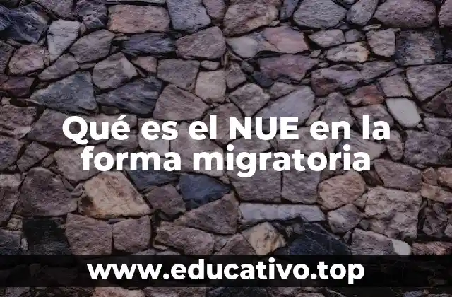 Qué es el NUE en la forma migratoria