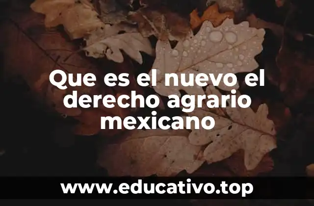 Que es el nuevo el derecho agrario mexicano