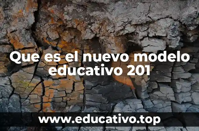Que es el nuevo modelo educativo 201