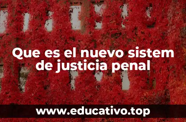Que es el nuevo sistem de justicia penal