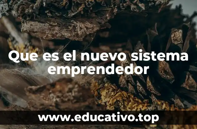 Que es el nuevo sistema emprendedor