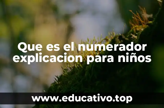 Que es el numerador explicacion para niños