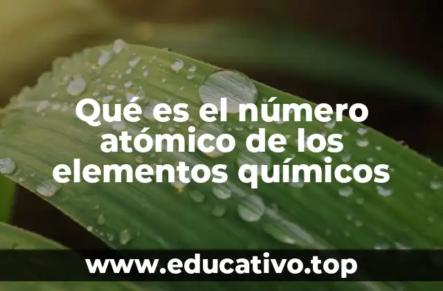 Qué es el número atómico de los elementos químicos