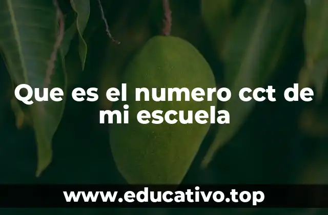 Que es el numero cct de mi escuela
