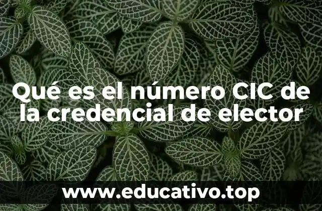 Qué es el número CIC de la credencial de elector
