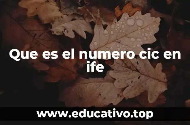 Importancia del número CIC en el sistema electoral