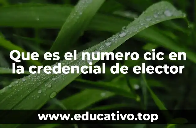 Que es el numero cic en la credencial de elector