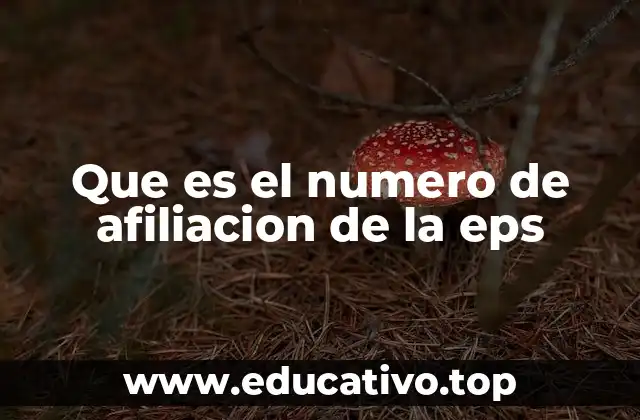Que es el numero de afiliacion de la eps