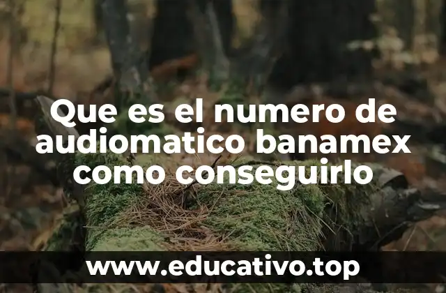 Cómo funciona el sistema de audiomatico Banamex sin mencionar la palabra clave