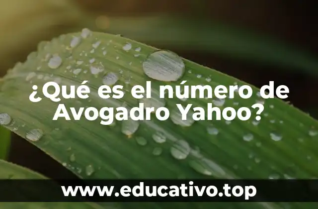 ¿Qué es el número de Avogadro Yahoo?