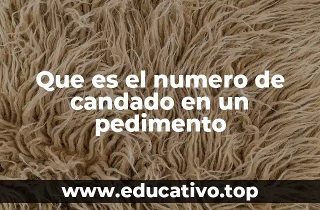 Que es el numero de candado en un pedimento