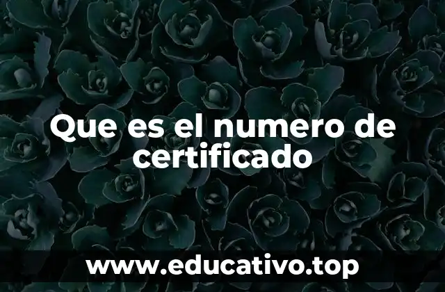 La importancia del número en la verificación de documentos