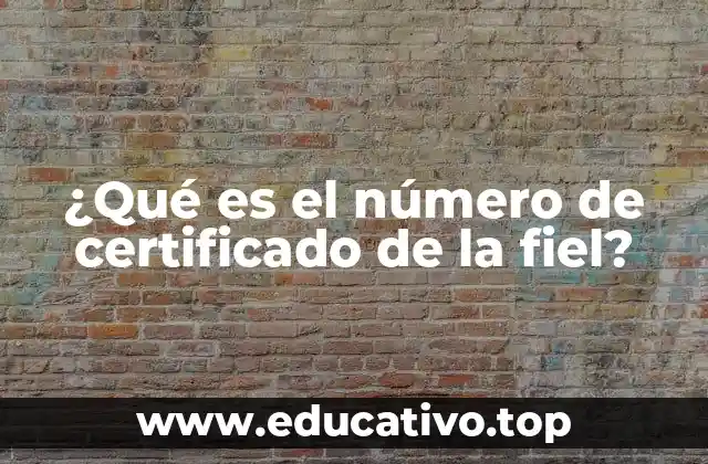 ¿Qué es el número de certificado de la fiel?