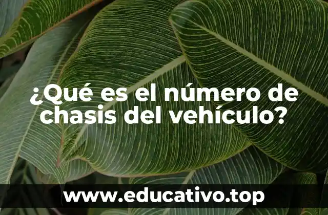 ¿Qué es el número de chasis del vehículo?